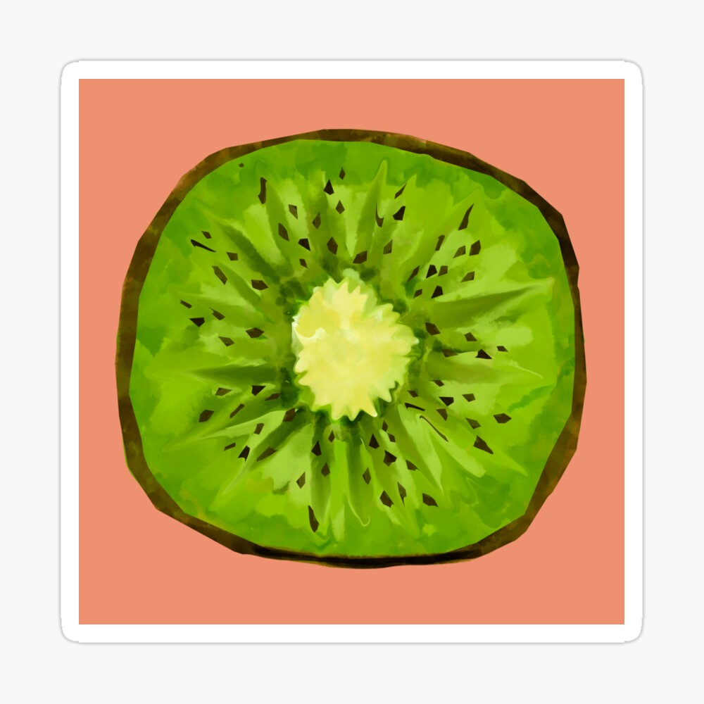 Kiwi fruit drawing. Sketch of kiwi on a white background. Vector  illustration - Stock Image - Everypixel