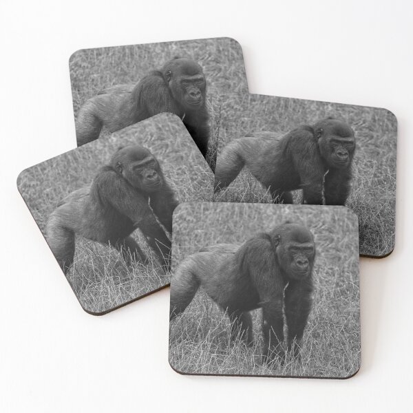 Item preview, Gorilla Lope Ready To Pounce Mono designed and sold by rawshutterbug.