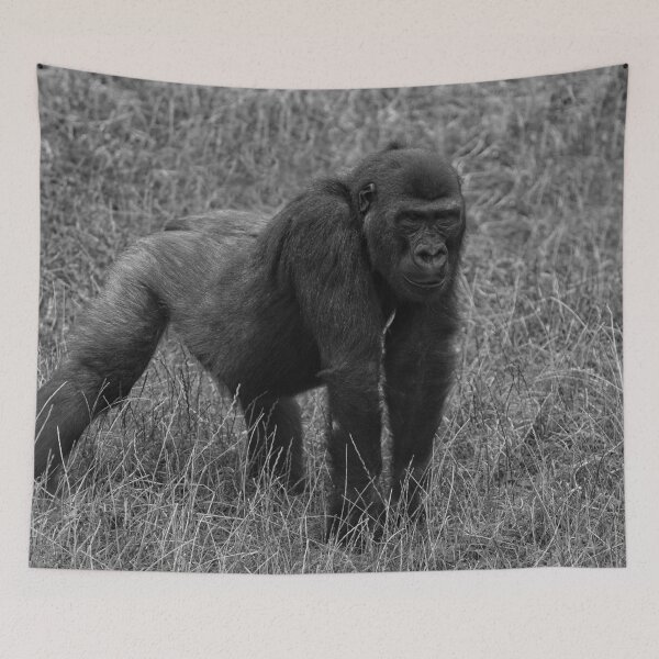 Item preview, Gorilla Lope Ready To Pounce Mono designed and sold by rawshutterbug.