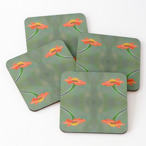 Item preview, Orange quartet - the inside version designed and sold by BiodiversityRocks.