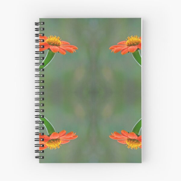 Item preview, Orange quartet - the inside version designed and sold by BiodiversityRocks.