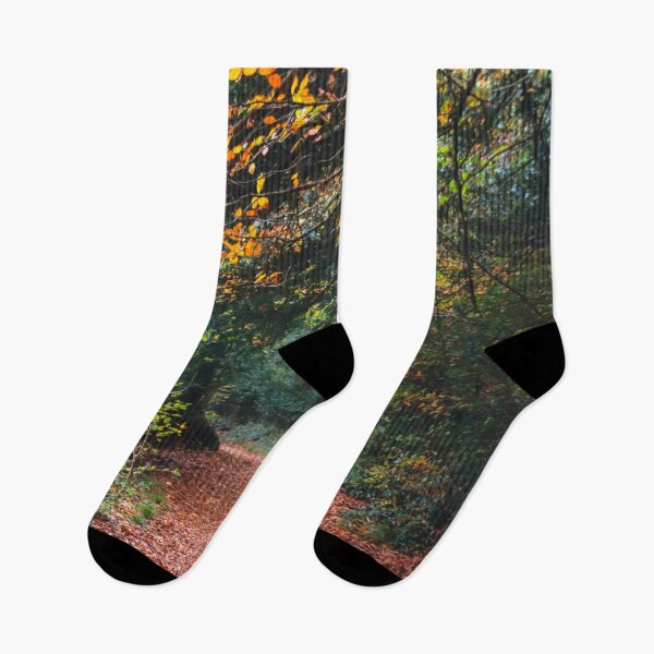 Item preview, Autumn Woodland Walk. designed and sold by John Ray.