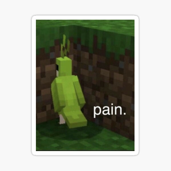 Minecraft Parrot Gifts Merchandise Redbubble