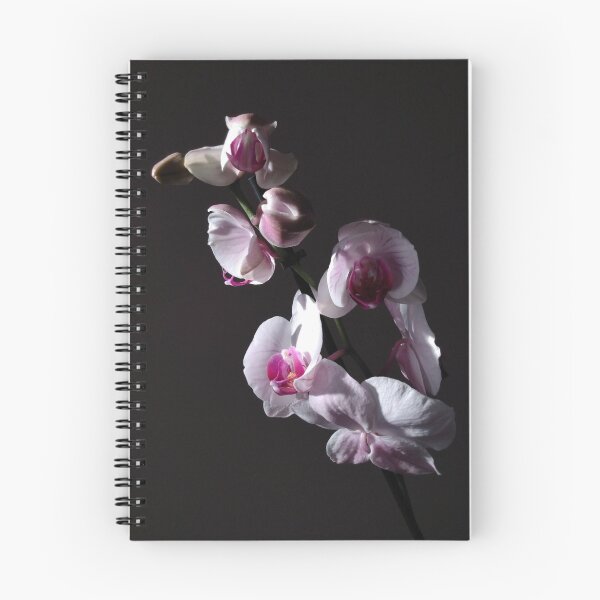 Item preview, Flor de la orquídea rosa designed and sold by Factory23.