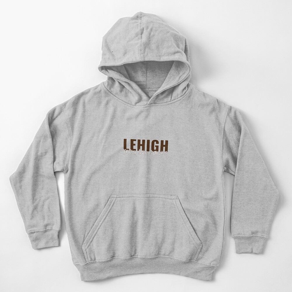 Carolina Champion Youth Wordmark Over Logo Hoodie - Heather_Grey