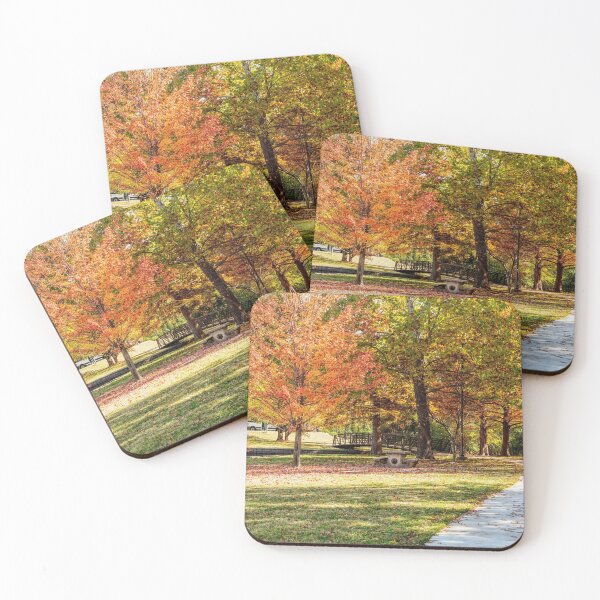 Item preview, Schaible Lake Park Fall Walk designed and sold by mljdwhite.