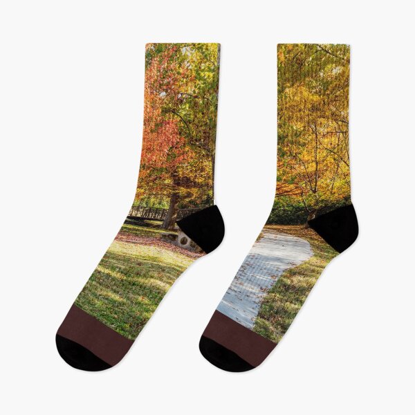 Item preview, Schaible Lake Park Fall Walk designed and sold by mljdwhite.
