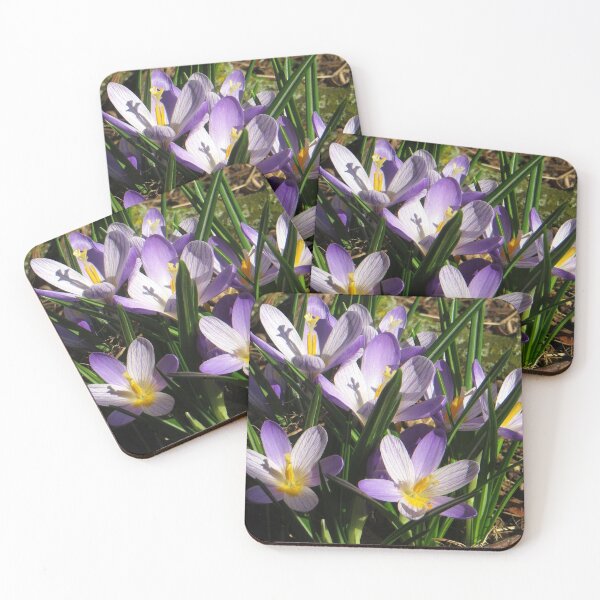 Item preview, Crocus enjoy the Spring Sun designed and sold by ienemien.