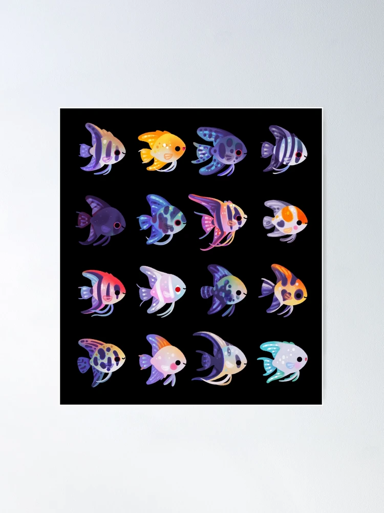 Angelfish! (freshwater) - no text or bright Poster for Sale by pikaole