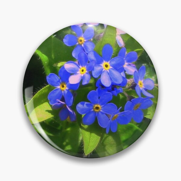 Item preview, Forget-Me-Not designed and sold by ienemien.