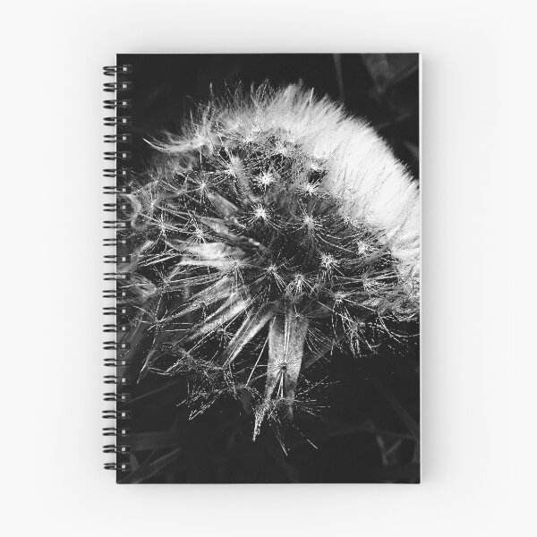 Item preview, Dandelion designed and sold by Stacey Vivian.