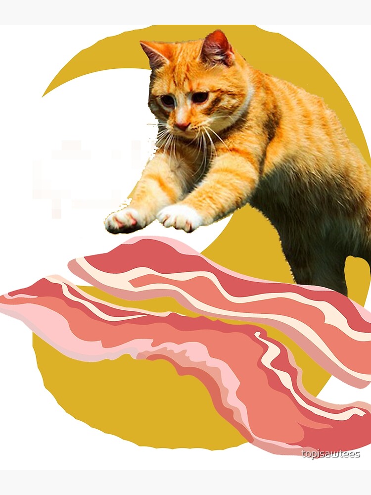 Cat shops loves bacon