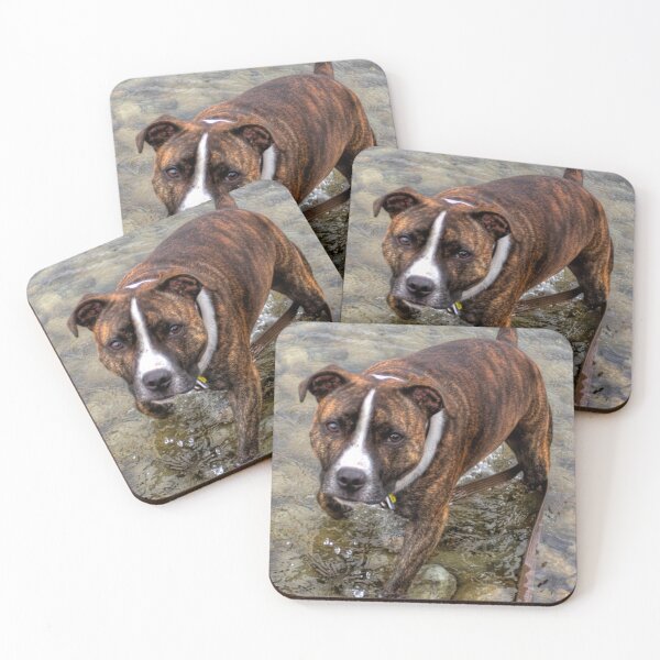 Item preview, Sonney designed and sold by tomg.