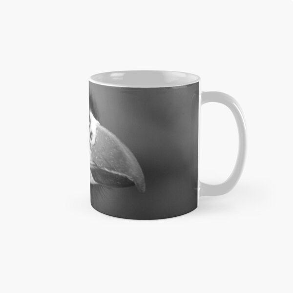 Item preview, Caracara designed and sold by Tropicalsteve.