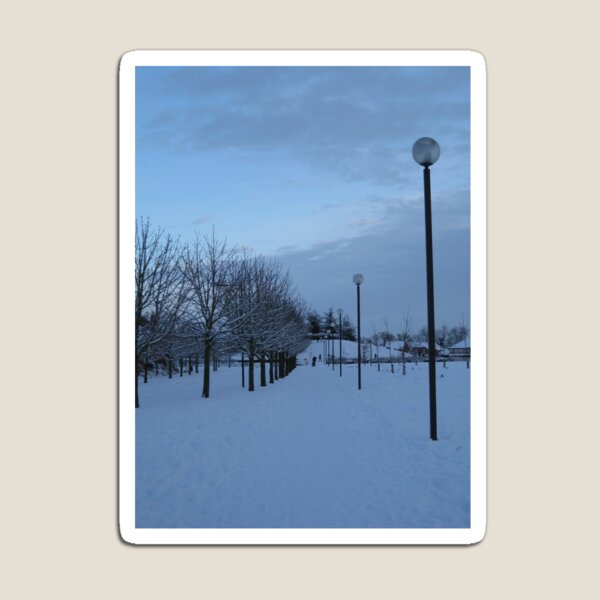 Blue Hour in the snow Magnet
