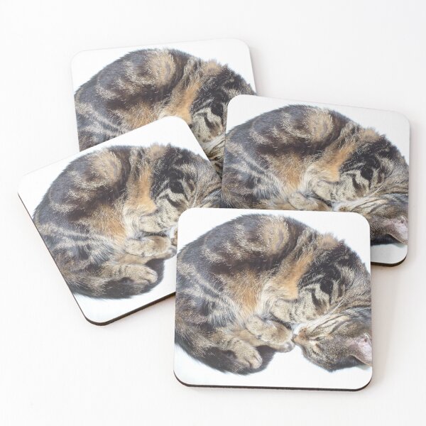 Item preview, Sleepy kitty by Tracey Pacitti designed and sold by Tracey Pacitti.
