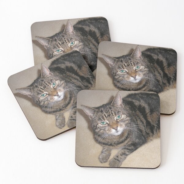 Item preview, Tabby cat designed and sold by Tracey Pacitti.