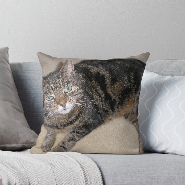 Item preview, Tabby cat designed and sold by Tracey Pacitti.