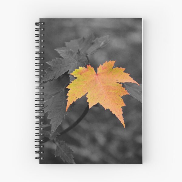 Item preview, Canadian automn - 2 designed and sold by Rebecca Angele.