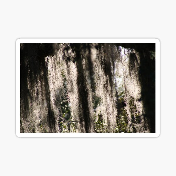 Item preview, Spanish moss  designed and sold by Debi Matlack.
