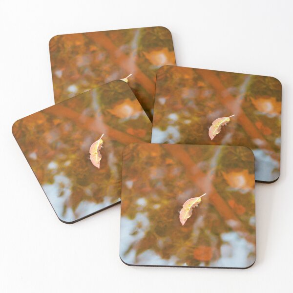 Item preview, Canadian automn leaf in lake designed and sold by Rebecca Angele.