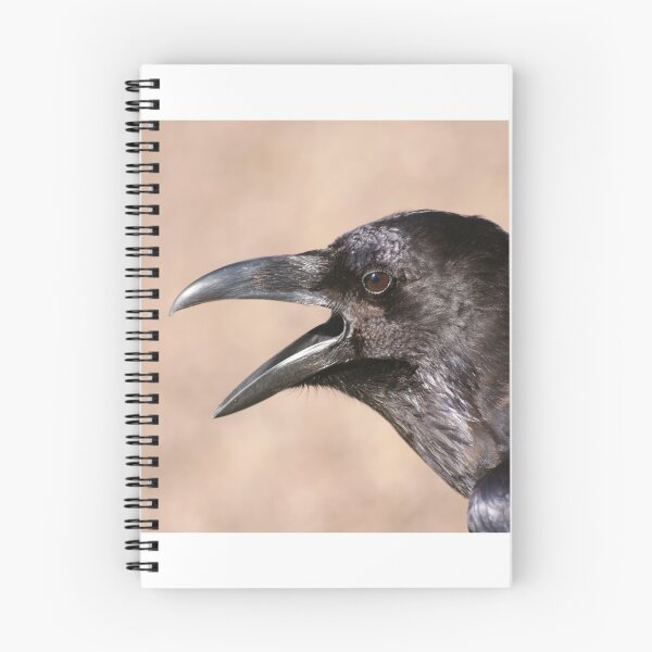 Item preview, A noisy Raven.. designed and sold by Tropicalsteve.