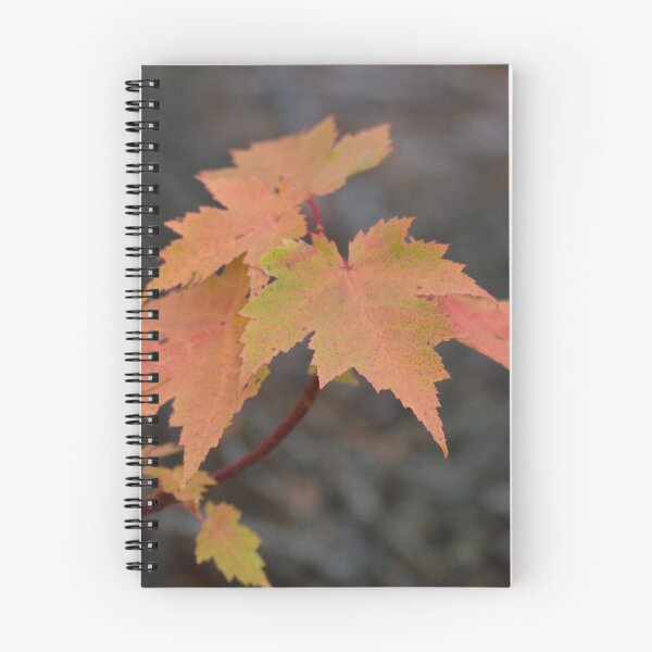 Item preview, Canadian automn - 1 designed and sold by Rebecca Angele.