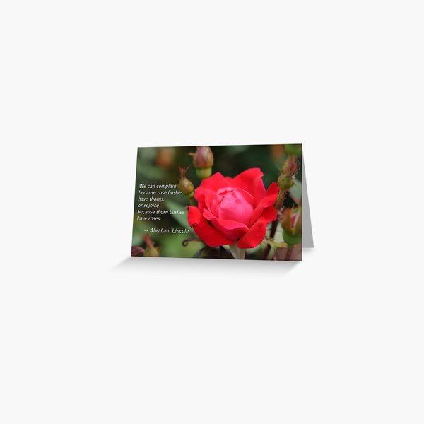 Rose on a Thorn Bush Greeting Card