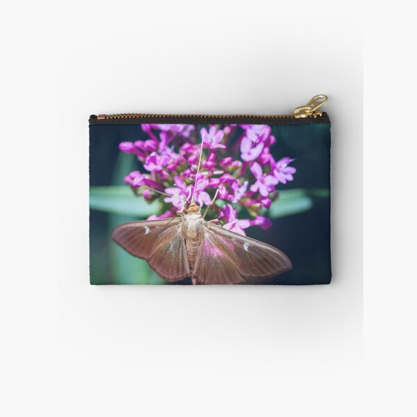 Item preview, Macro of Cydalima Perspectalis butterfly boxwood insect designed and sold by Grégory DUBUS.