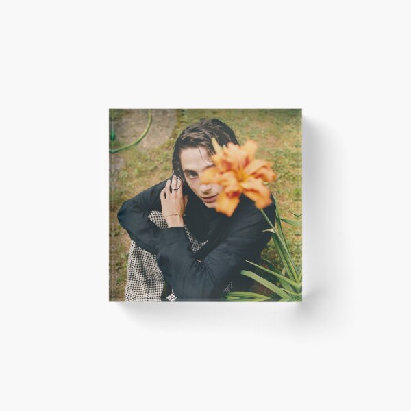 Item preview, Timothée Chalamet designed and sold by Retrop0lis.