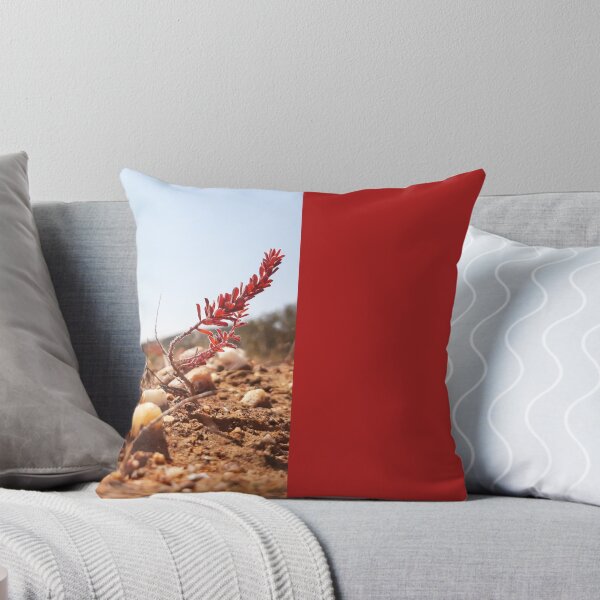 Item preview, Namaqua Flora Pillow designed and sold by NamaquaPillows.