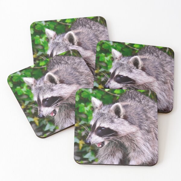 Item preview, racoon designed and sold by Glineur.