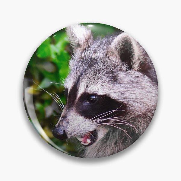 Item preview, racoon designed and sold by Glineur.