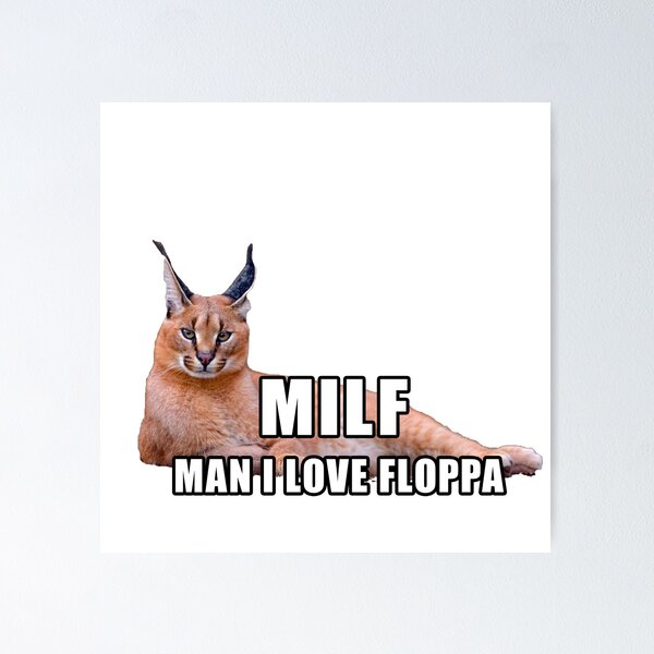 Floppa Caracal GIF Floppa Caracal Baby Caracal Discover