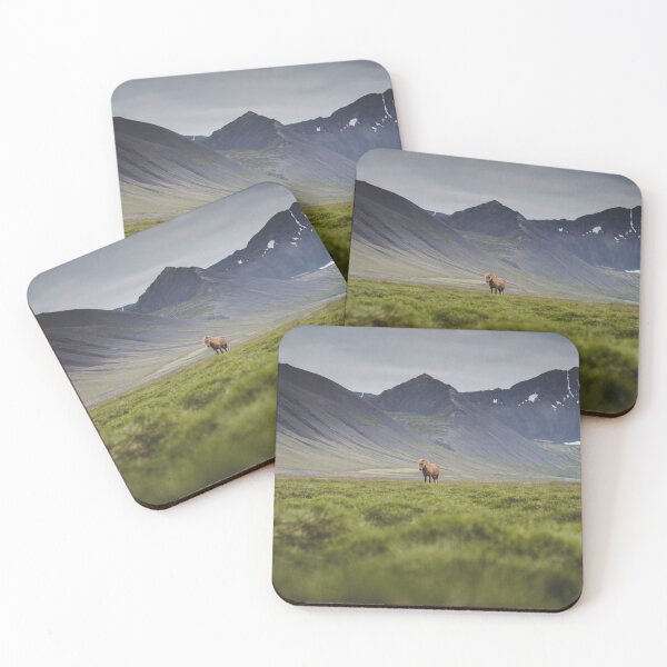 Item preview, lonely horse in the west fjords designed and sold by LouisaLilja.