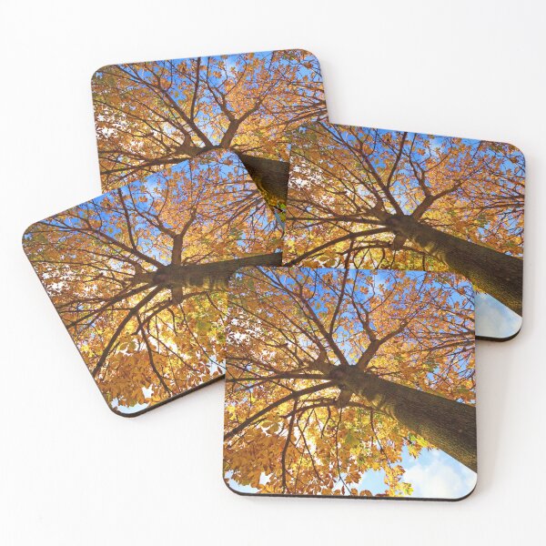 Item preview, Autumn at Grappenhall Heys Walled Garden,Lumb Brook Road,Grappenhall,Warrington,Cheshire designed and sold by Local gifts from HotpixUK .