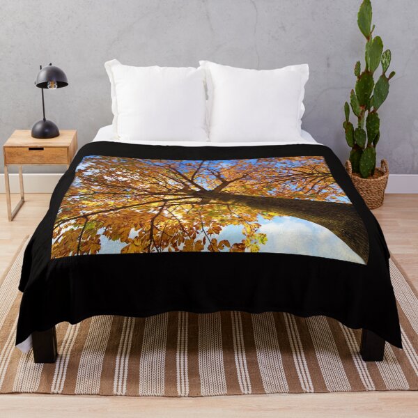 Item preview, Autumn at Grappenhall Heys Walled Garden,Lumb Brook Road,Grappenhall,Warrington,Cheshire designed and sold by Local gifts from HotpixUK .