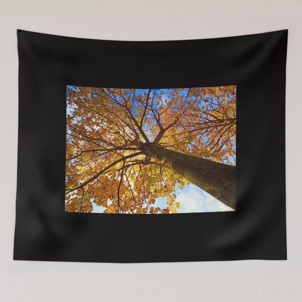 Item preview, Autumn at Grappenhall Heys Walled Garden,Lumb Brook Road,Grappenhall,Warrington,Cheshire designed and sold by Local gifts from HotpixUK .