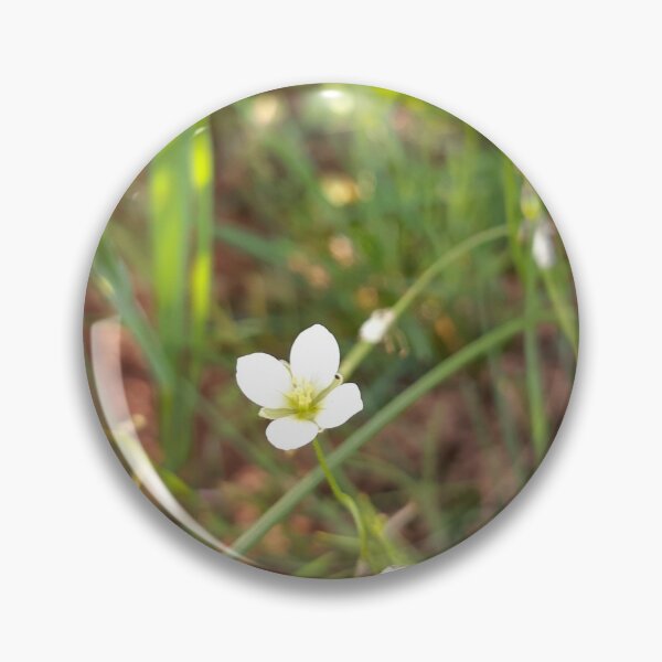 Item preview, Namaqua Flora Pillow designed and sold by NamaquaPillows.