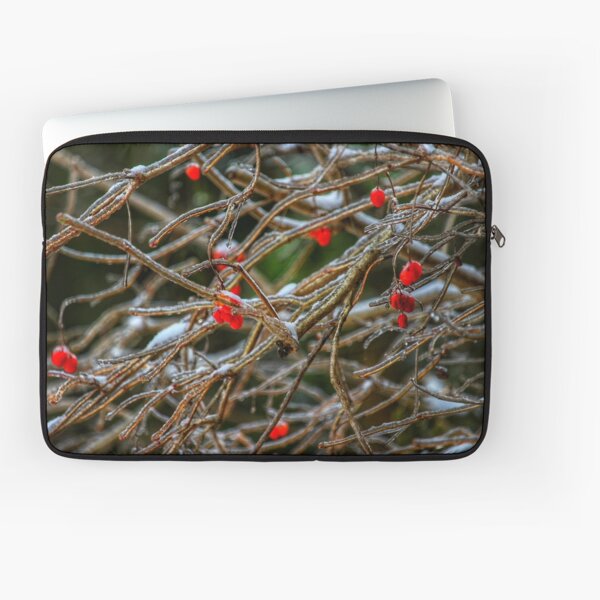 Frosty berries Laptop Sleeve