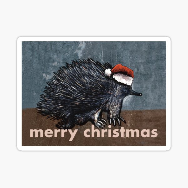 Echidna Christmas card Sticker