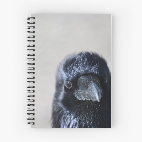 Item preview, Polluelo del cuervo designed and sold by debfaraday.