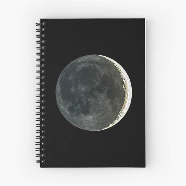 Item preview, Ash gray moonlight designed and sold by NW-Photo-Art.