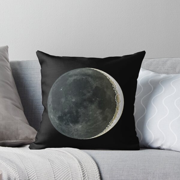 Item preview, Ash gray moonlight designed and sold by NW-Photo-Art.
