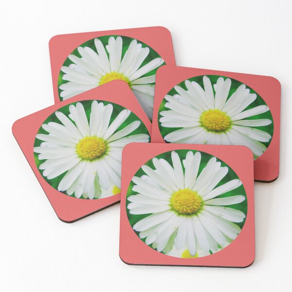 Item preview, Camomile designed and sold by keisthard.