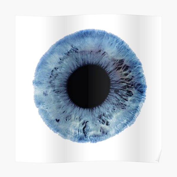 Eye Iris Pupil Blue Poster