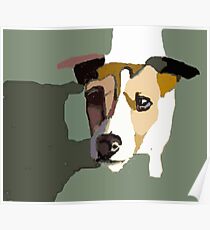 Jack Russel in the sun Poster