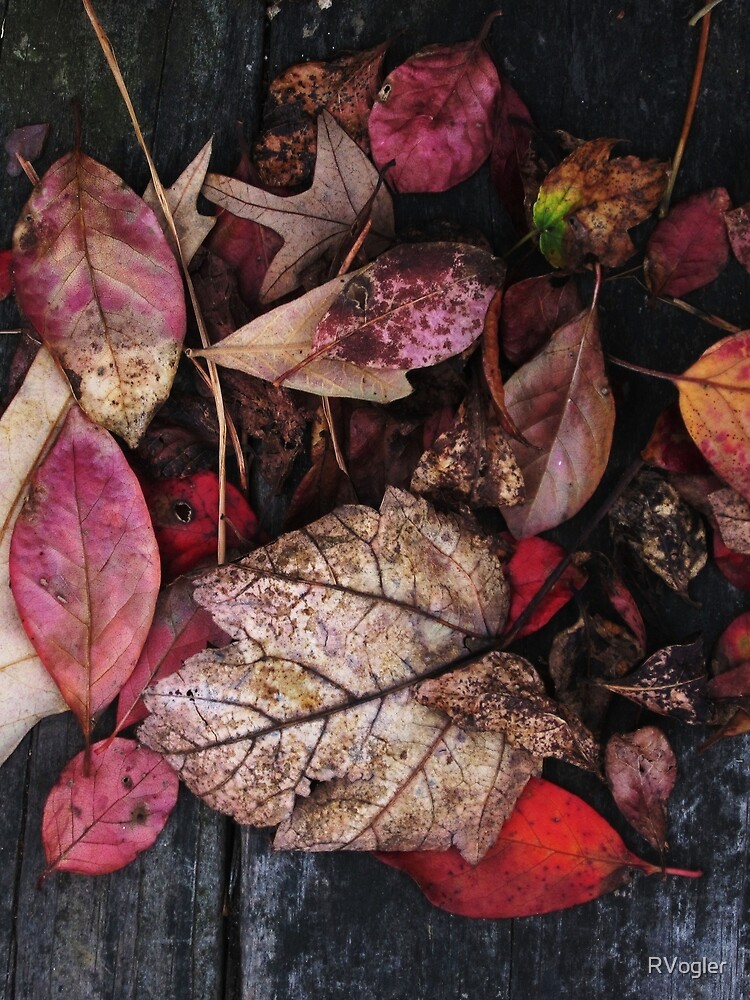 Collage Of Autumn Red by RVogler