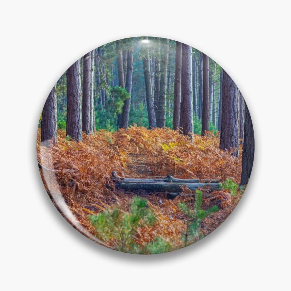Item preview, Autumn forest trees view. Golden autumn in forest. Forest autumn fall scene.  designed and sold by Faramira11.