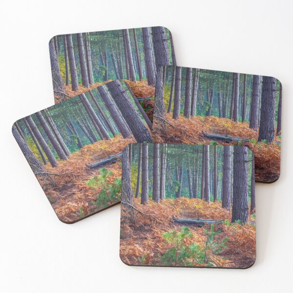 Item preview, Autumn forest trees view. Golden autumn in forest. Forest autumn fall scene.  designed and sold by Faramira11.